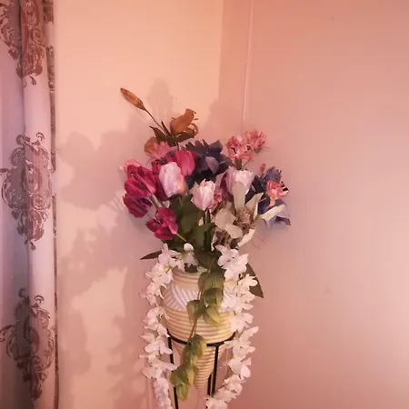 Apartment Kraljica Vrdnik